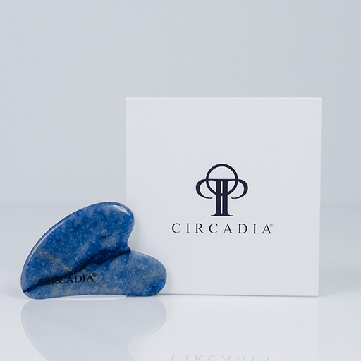 [Circadia] Blue Adventurine Gua Sha